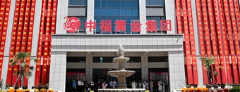 中福黃金集團